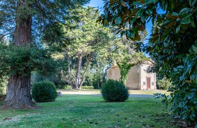 Villa storica in vendita Crespina, Toscana, Foto 3/38