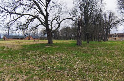 Villa padronale in vendita Raszków, Santacroce, Foto 2/16