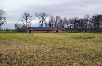 Villa padronale in vendita Raszków, Santacroce, Foto 5/16