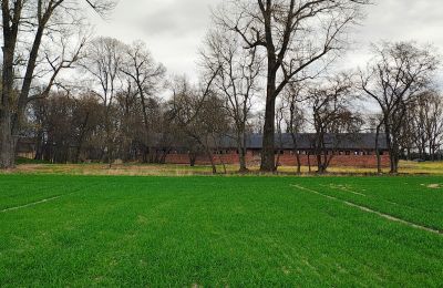 Villa padronale in vendita Raszków, Santacroce, Foto 8/16