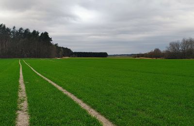 Villa padronale in vendita Raszków, Santacroce, Foto 7/16