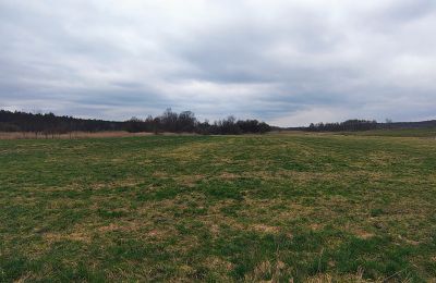 Villa padronale in vendita Raszków, Santacroce, Foto 16/16