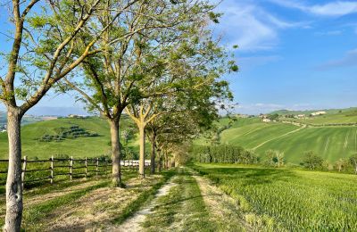 Casa di campagna in vendita Fermo, Marche, Foto 74/81