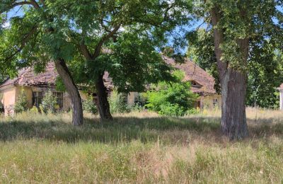 Villa padronale in vendita Lubusz, Foto 7/16