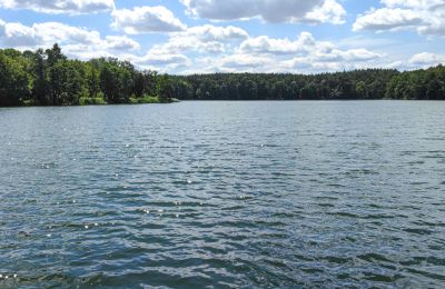 Villa padronale in vendita Lubusz, Foto 13/16