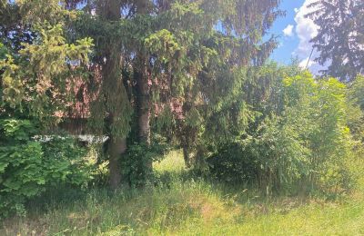 Casa di campagna in vendita Bądze, Varmia-Masuria, Foto 5/8