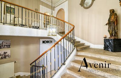 Villa storica in vendita Vaugneray, Auvergne-Rhône-Alpes, Foto 4/12