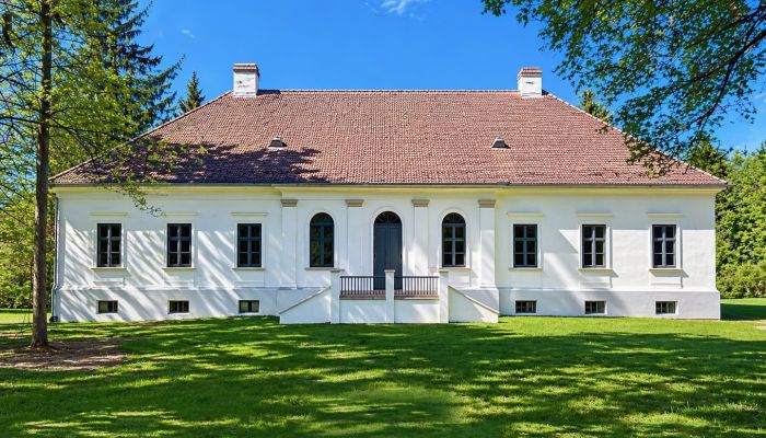 Villa padronale in vendita Tömörd, Contea di Vas