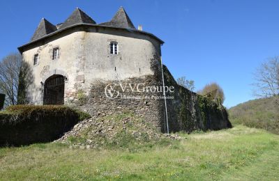 Castello medievale in vendita Nuova Aquitania, Foto 2/13