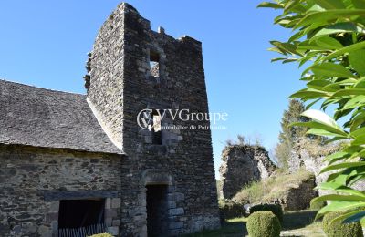 Castello medievale in vendita Nuova Aquitania, Foto 5/13