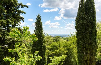 Villa padronale in vendita Limonest, Alvernia-Rodano-Alpi, Foto 6/10