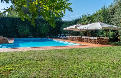 Villa padronale in vendita San Piero a Grado, Toscana, Foto 39/40