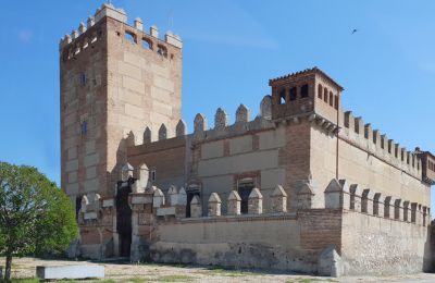 Castello medievale in vendita Narros de Saldueña, Teniente Cecilio López 48, Castilla y León, Foto 1/20