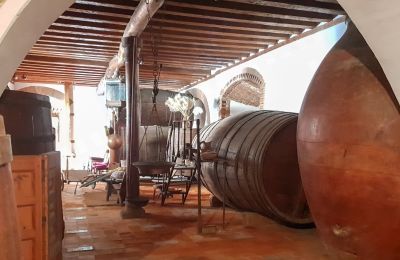 Castello medievale in vendita Narros de Saldueña, Teniente Cecilio López 48, Castilla y León, Foto 8/20