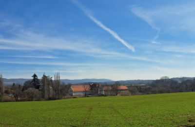 Castello in vendita Ronov nad Doubravou, Moravany  1, okres Chrudim, Foto 17/17