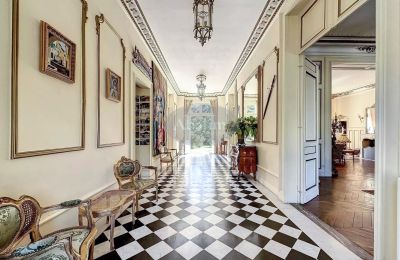 Castello in vendita La Roche-Posay, Nuova Aquitania, Foto 6/41