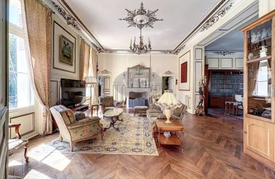 Castello in vendita La Roche-Posay, Nuova Aquitania, Foto 8/41