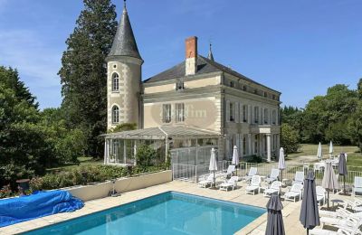 Castello in vendita La Roche-Posay, Nuova Aquitania, Foto 5/41