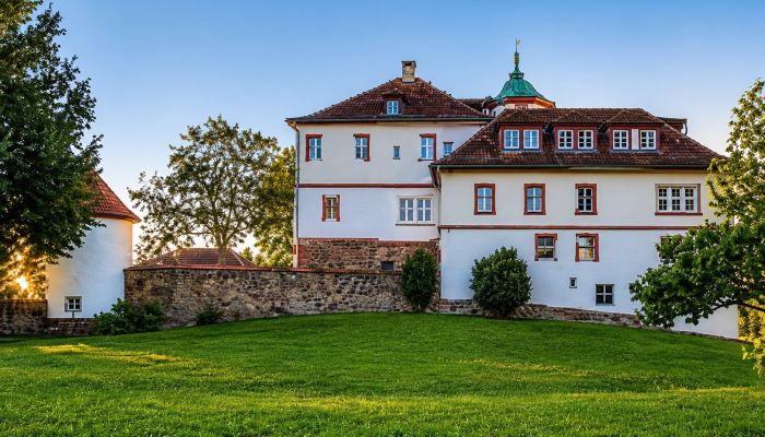 Castello in vendita Baden-Württemberg