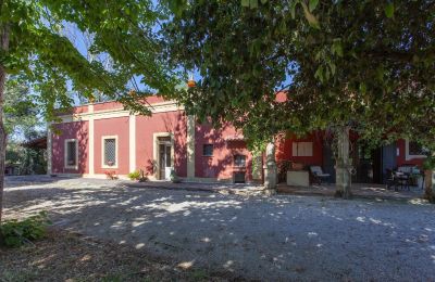 Casa di campagna in vendita Francavilla Fontana, Puglia, Foto 4/30