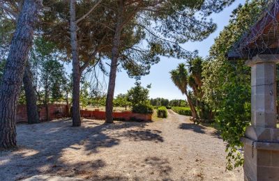 Casa di campagna in vendita Francavilla Fontana, Puglia, Foto 8/30