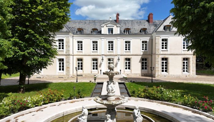 Castello in vendita Provins, Île-de-France