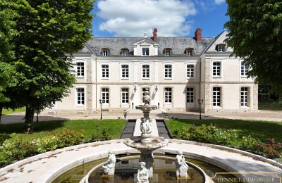Castello in vendita Provins, Île-de-France, Foto 1/19