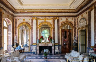 Castello in vendita Angers, Paesi della Loira, Foto 6/10