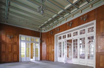 Villa storica in vendita Craiova, Bd. Nicolae Titulescu 4, Dolj, Foto 15/38