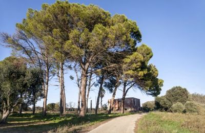 Casa rurale in vendita Latiano, Puglia:  Vialetto