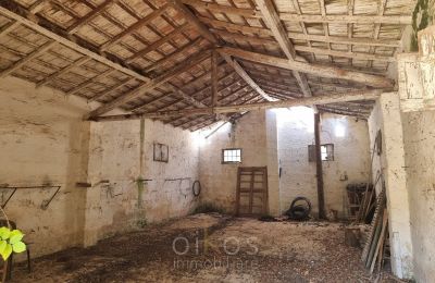 Villa storica in vendita Mesagne, Puglia, Foto 29/36
