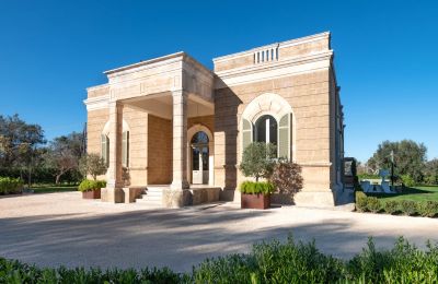 Casa di campagna in vendita Mesagne, SP 45 300, Puglia, Foto 1/38