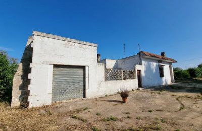 Casa di campagna in vendita Oria, Puglia, Foto 26/29