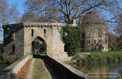 Castello medievale in vendita Valence, Alvernia-Rodano-Alpi, Foto 3/28