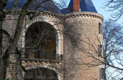 Castello medievale in vendita Valence, Alvernia-Rodano-Alpi, Foto 7/28