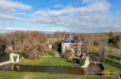 Castello medievale in vendita Valence, Alvernia-Rodano-Alpi, Foto 2/28