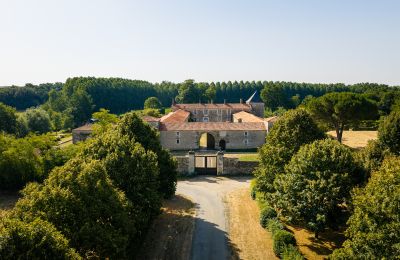 Villa storica in vendita Paesi della Loira, Foto 5/15