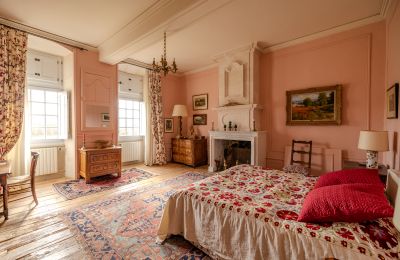 Villa storica in vendita Paesi della Loira, Foto 12/15