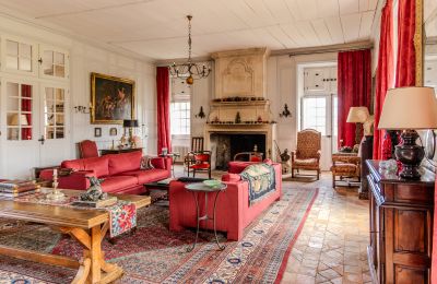 Villa storica in vendita Paesi della Loira, Foto 6/15