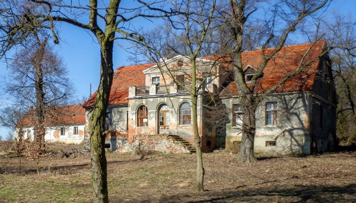 Dimora signorile in vendita Rogów Wołowski, Bassa Slesia