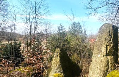 Villa storica in vendita Staniszów, Bassa Slesia, Foto 17/26