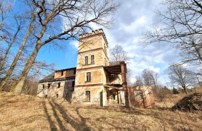 Villa storica in vendita Staniszów, Bassa Slesia, Foto 9/26
