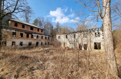 Villa storica in vendita Staniszów, Bassa Slesia, Foto 3/26