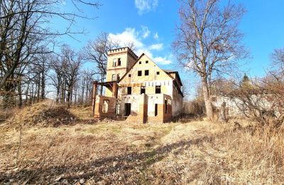 Villa storica in vendita Staniszów, Bassa Slesia, Foto 12/26