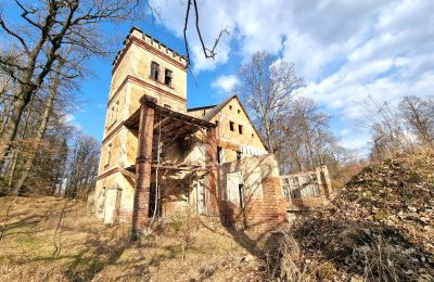 Villa storica in vendita Staniszów, Bassa Slesia, Foto 5/26