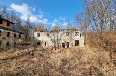 Villa storica in vendita Staniszów, Bassa Slesia, Foto 2/26