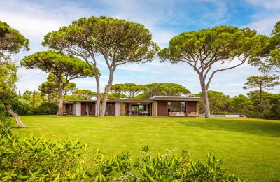 Villa storica in vendita Rocchette, Toscana, Foto 15/60