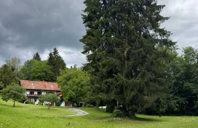 Casale in vendita Stiria, Foto 5/25