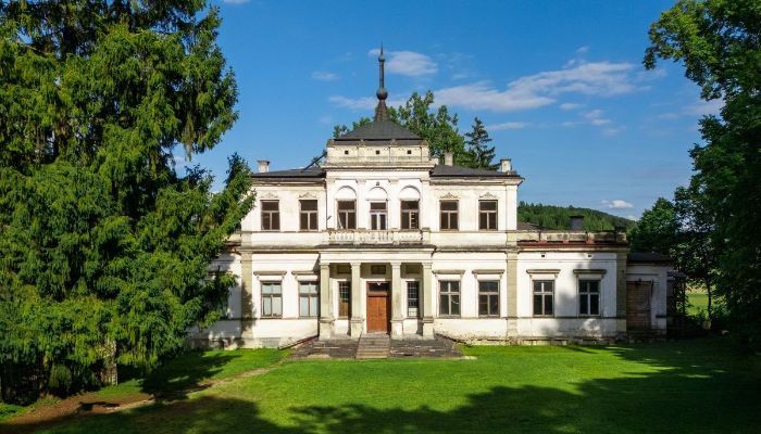 Dimora signorile neorinascimentale con parco alberato vicino a Cracovia