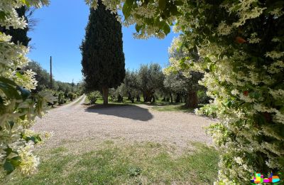 Villa storica in vendita 06061 Castiglione del Lago, localita croce 2, Umbria, Foto 32/38